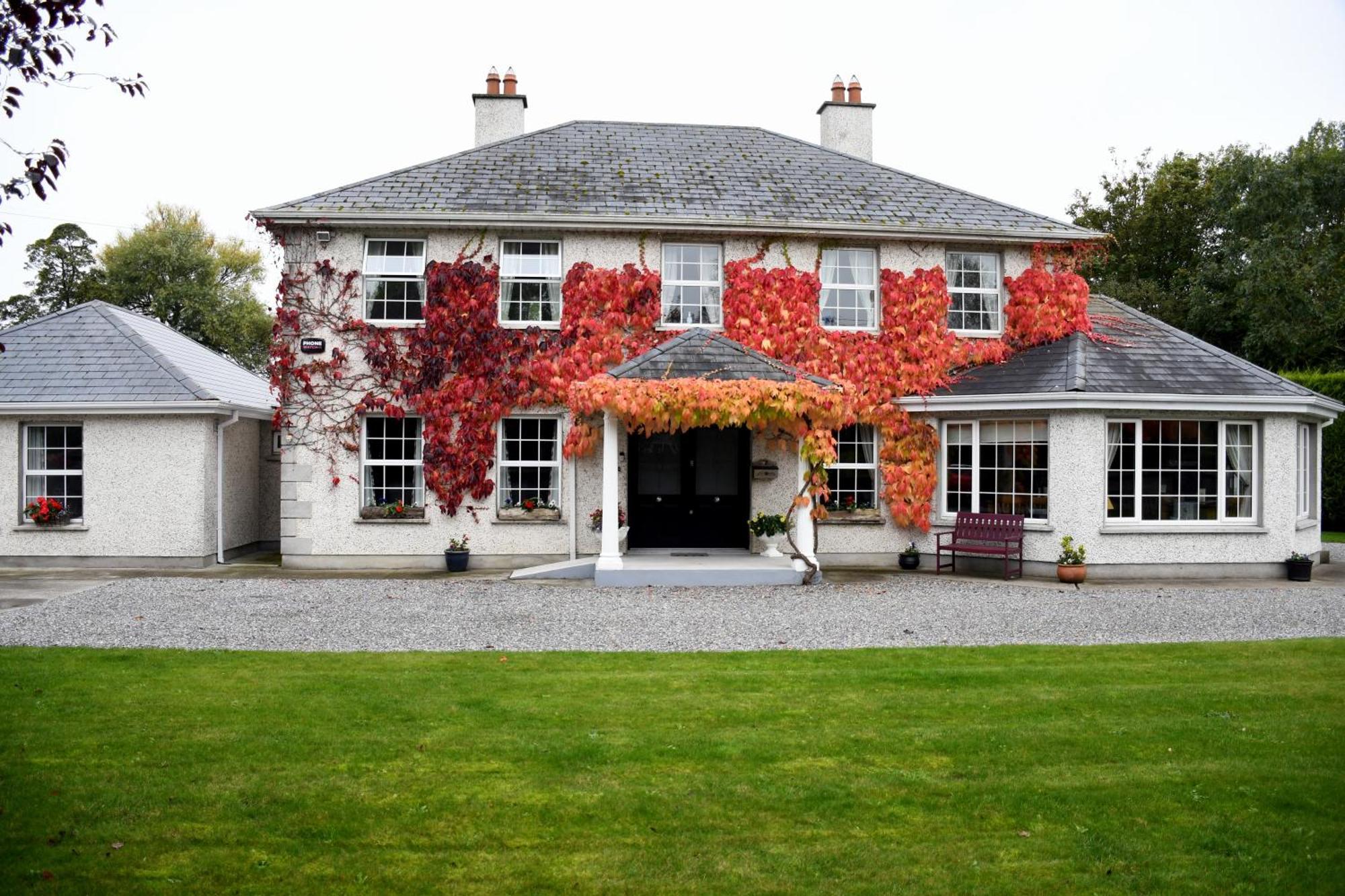 Orchard Grove Bed & Breakfast R21Rc58 Bagenalstown Exteriör bild