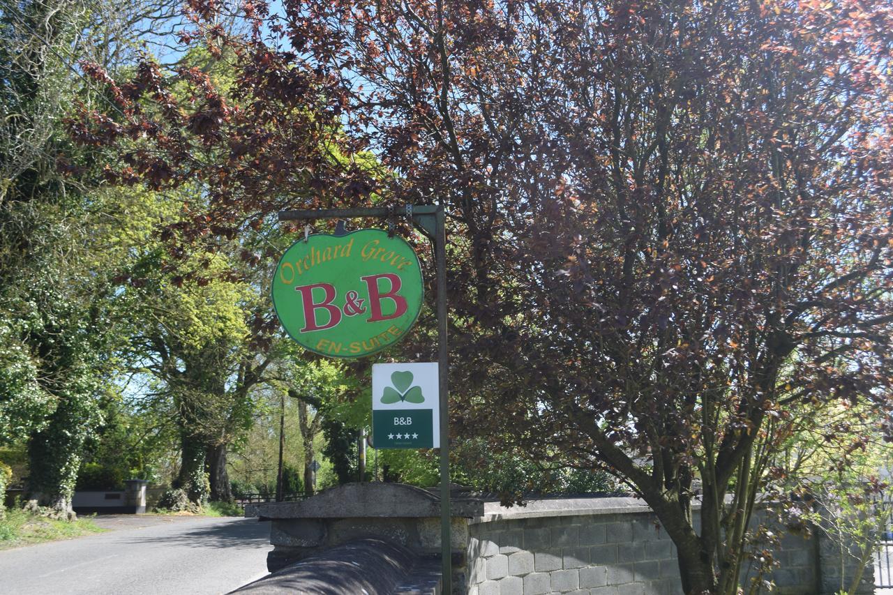 Orchard Grove Bed & Breakfast R21Rc58 Bagenalstown Exteriör bild